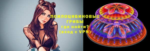 индика Аркадак