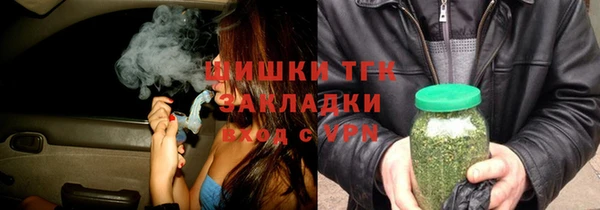индика Аркадак