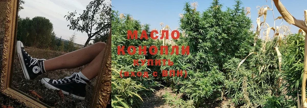 индика Аркадак