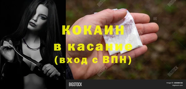 индика Аркадак