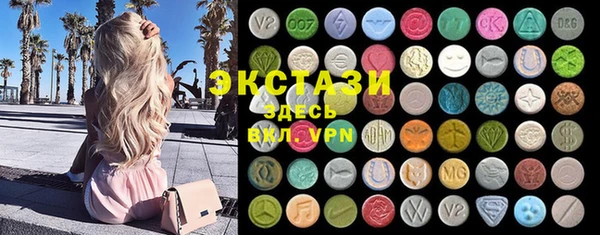 индика Аркадак