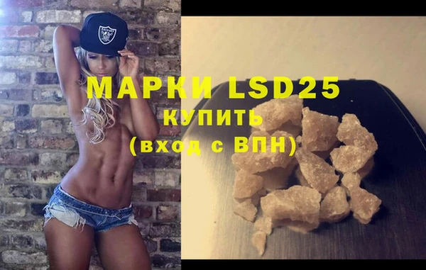 индика Аркадак