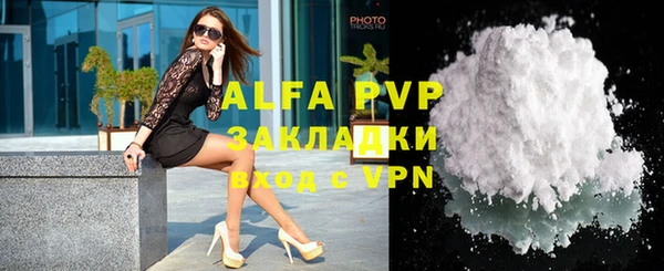 индика Аркадак