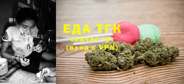 индика Аркадак